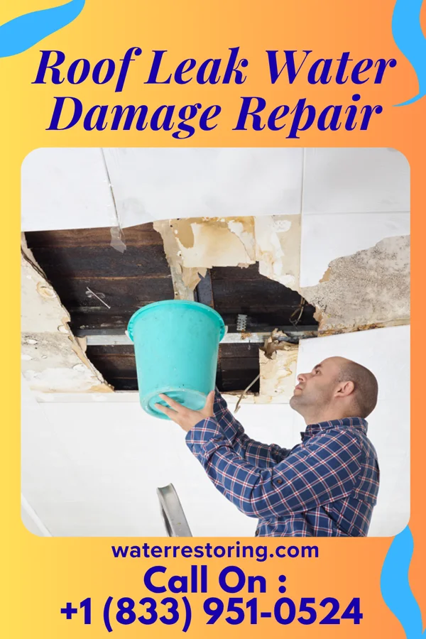 Roof Leak Water Damage Repair in Gardnerville Ranchos, NV